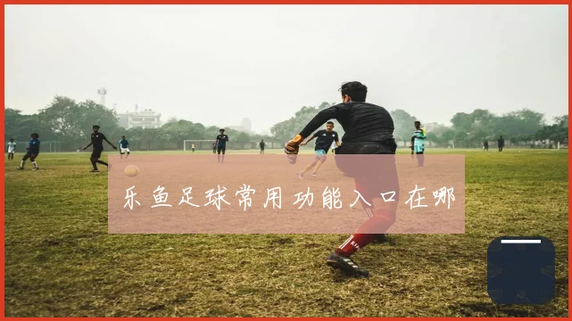 乐鱼足球常用功能入口在哪